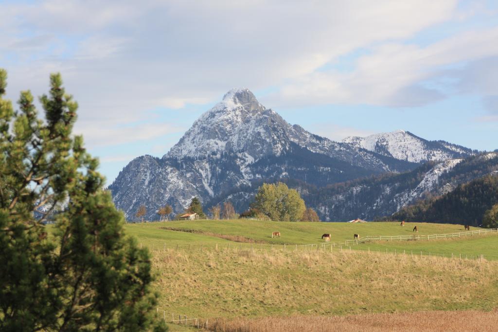 Guest house Seehof Fussen